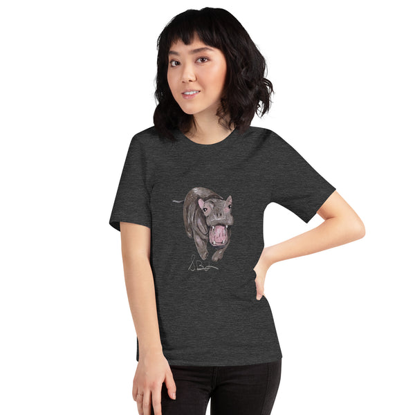 "Hint of Sorrow" Bella Canvas Unisex t-shirt